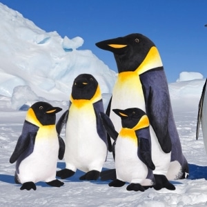 Peluche pingouin kawaii Peluche Pingouin Peluche Animaux 87aa0330980ddad2f9e66f: 23cm|35cm|45cm|55cm