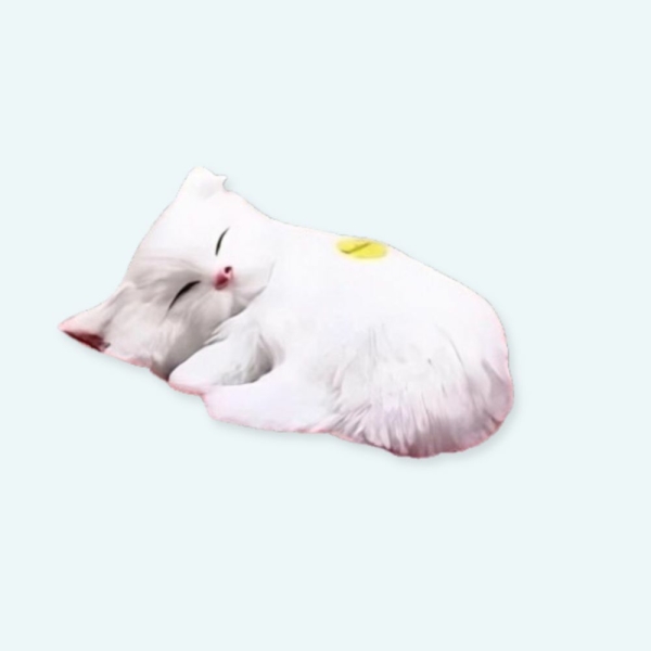 Peluche poupée chat blanc Peluche Chat Peluche Animaux Matériaux: Coton