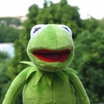 Peluche Kermit la Grenouille de Sésame Street pour Enfant, Poupée Peluchée du Muppet Show, Peluches, Jouet, Jouets de Noël et d’Anniversaire, 40cm Uncategorized a7796c561c033735a2eb6c: 16cm keychain|35cm hand puppet|40cm plush doll|60cm hand puppet