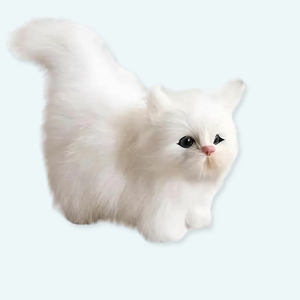 Peluche chaton poilu blanc Peluche Chaton Peluche Animaux : 12cm